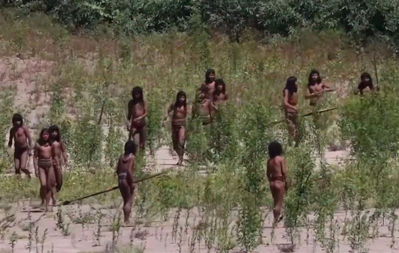 探險家冒險進入神秘的亞馬遜雨林，揭開原始部落戰士警戒的真實景象。（圖／翻攝X@CollinRugg）