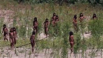 亞馬遜戰士攻探險隊　巨箭貫穿胸腹畫面曝