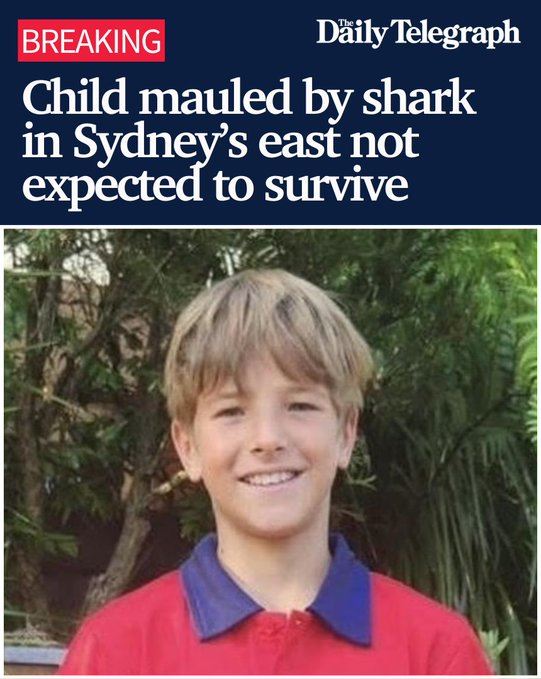 首起鯊魚攻擊事件的12歲受害男童，恐怕無法生還。（圖／翻攝自X平台 @dailytelegraph）