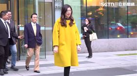 國民黨主席鄭麗文率副主席拜會前總統馬英九後受訪（圖／翻攝畫面）