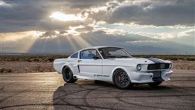 野馬GT350TR。（圖／翻攝Trick Rides網站）