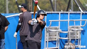 挺中華隊！虎航明天限量開賣WBC應援套票