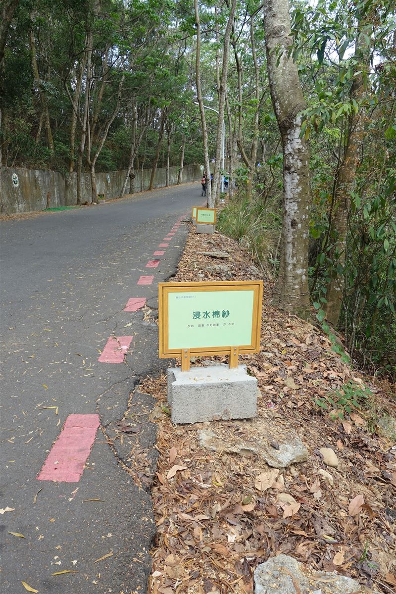 婦人從藤山步道旁衝出來，持刀對登山客恐嚇要砍人，在場登山民眾嚇得拔腿狂奔。(圖／翻攝自彰化旅遊資訊網)