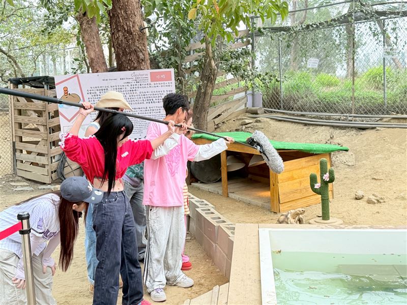 主持群直擊烏龜交配。（圖／民視提供）