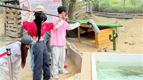 主持群直擊烏龜交配。（圖／民視提供）