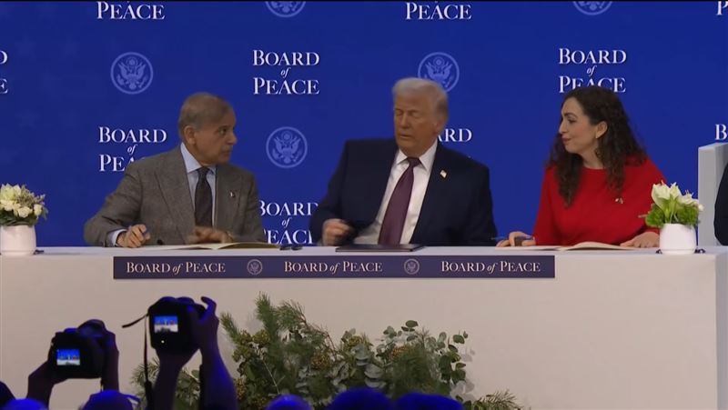 各國領袖依序兩兩上前簽署協議，並與川普合照。（圖／翻攝畫面）