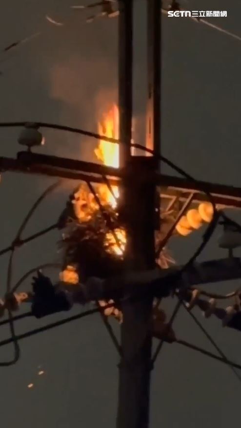 電線桿突然爆炸起火燃燒，大火中可見鳥類築巢痕跡。（圖／翻攝畫面）