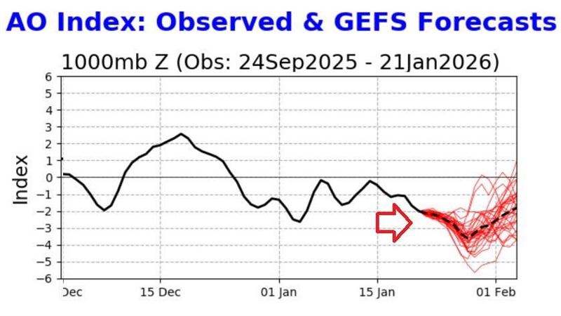 負北極振盪訊號!鄭明典:台也在影響範圍