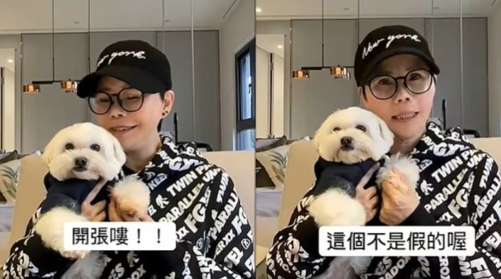 語氣認真又帶點幽默地表示：「其他的都是假的，只有這個頻道是真的。（圖／翻攝自YW YT）