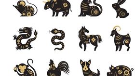 命理師周映君近日再度登上節目分析2026年生肖流年運勢。（圖／翻攝自網路）