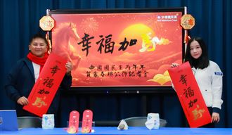 鄭麗文春聯遭網酸：預算不審，加馬什麼？