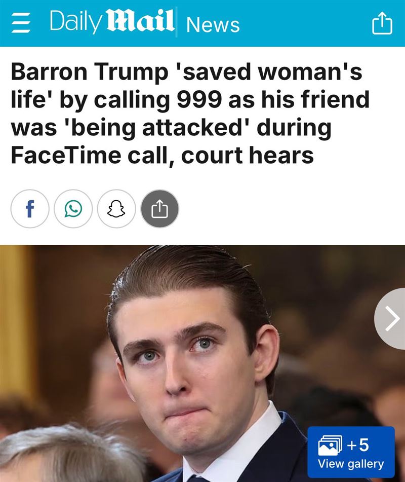 巴倫跨海救人行動，被國外媒體大肆報導。（圖／翻攝自X平台 @allie__voss）