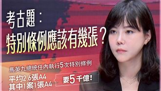 李慧芝列出馬政府5次特別預算的紙張數與金額，強調張數並非重點，立院排審才該快點（圖／翻攝自行政院發言人臉書）