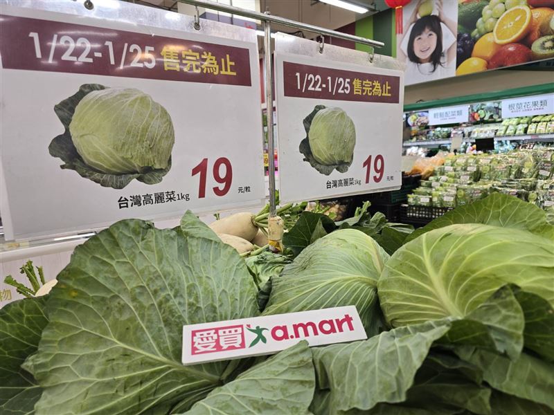 愛買高麗菜只要19元。(圖／愛買提供）