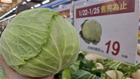 愛買,高麗菜(圖／愛買提供）