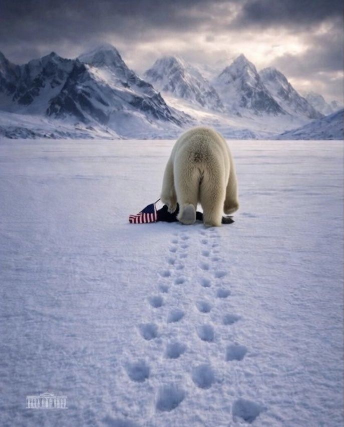網有惡搞白宮的圖，變成川普成為北極熊的盤中飧，並配上文字「這才是事實」，諷刺意味滿點。（圖／翻攝自X平台 @dennisottawa）