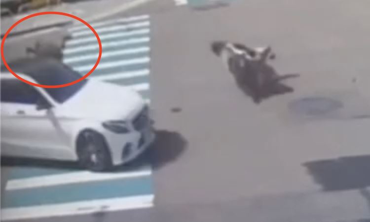 賓士車猛力撞上老夫妻，夫妻倆噴飛滑行數公尺遠。（圖／翻攝畫面）