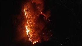 南投縣消防局,台電,台電公司,奧萬大,火苗,火警,火勢,森林（圖／民眾提供）