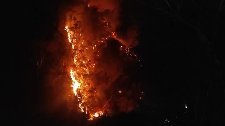 奧萬大深夜惡火!3000平方公尺山林陷火海