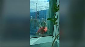 霍諾德成功登頂101　德國在台協會曝光他經過33樓時的視角。（圖／翻攝自German Institute Taipei 德國在台協會）