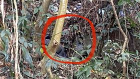 宏龍派出所,台中地檢署,台中,太平區,員警,機車,家屬,外套,家人,案件,產後憂鬱,失蹤（圖／翻攝畫面）