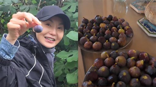 61歲張曼玉素顏採果　網讚：最美天花板