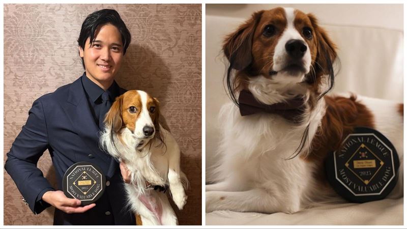 大谷出席晚宴領MVP 愛犬抱走首屆「MVD」