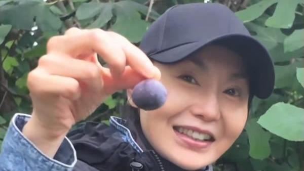 張曼玉特地從歐洲返港追星。(圖/翻攝自張曼玉小紅書)