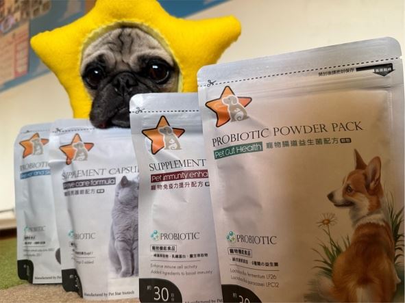 寵星是由長期投入流浪動物照護的志工所創立。（圖／寵星提供）