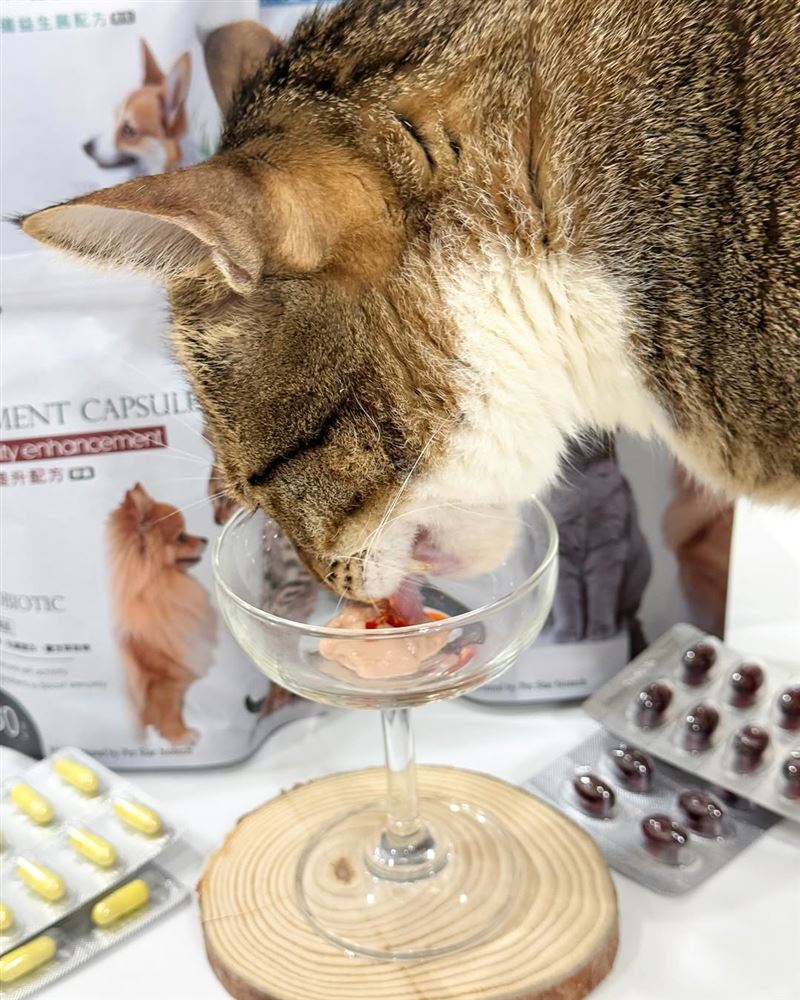 平價寵物保健食品，助飼主照顧毛孩健康。（圖／寵星提供）