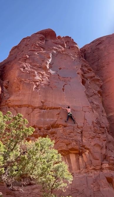 震撼！霍諾德徒手獨攀101吐心聲：這條路「沒人支持」，只有我為愛而行。（圖／翻攝自IG @alexhonnold）