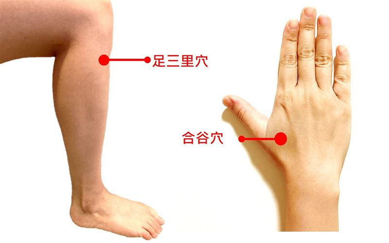 簡單的穴位按摩，也可以改善消化、促進放鬆，如足三里穴和合谷穴。（圖／秀傳醫院提供）