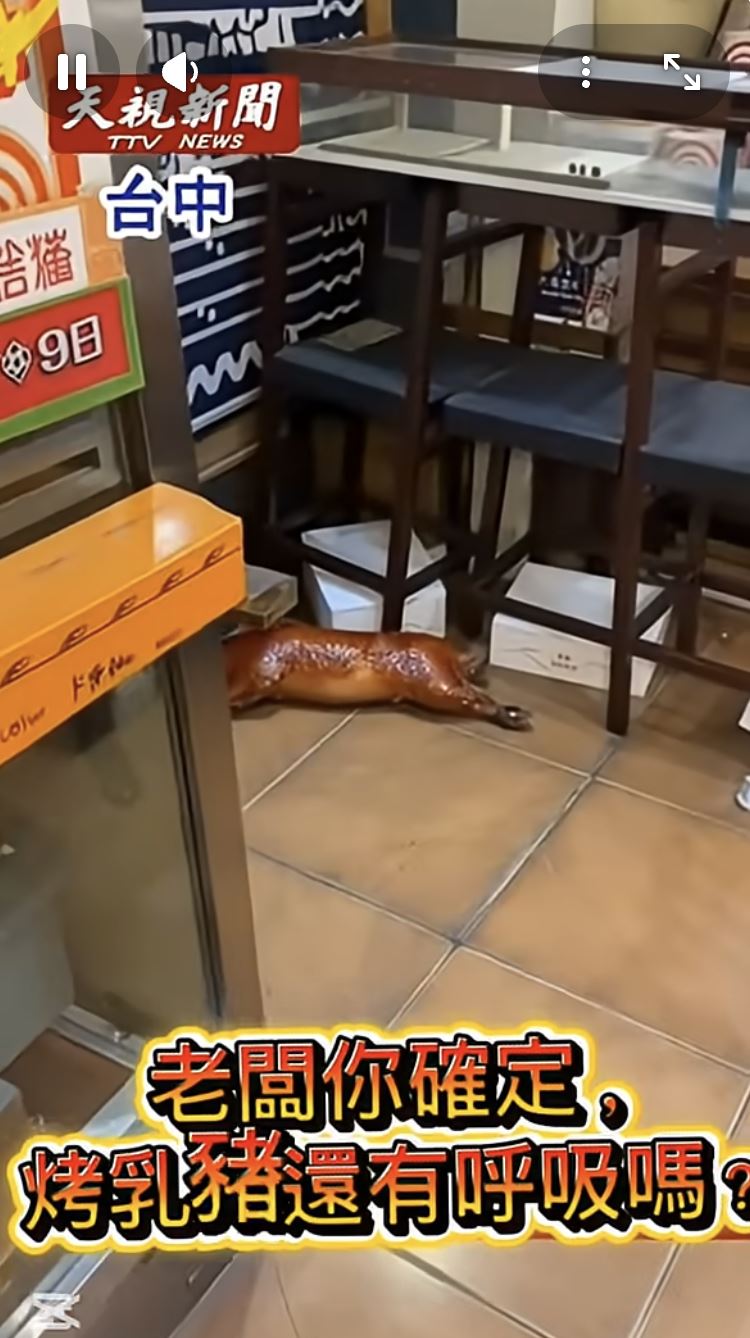 AI,烤乳豬,YT,餐廳（圖／翻攝自YT）