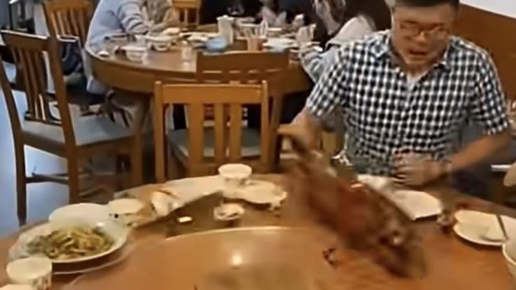 「烤乳豬」上桌還魂噴飛?真相曝光網傻眼
