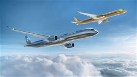 STARLUX AIRSORAYAMA。（圖／星宇航空提供）