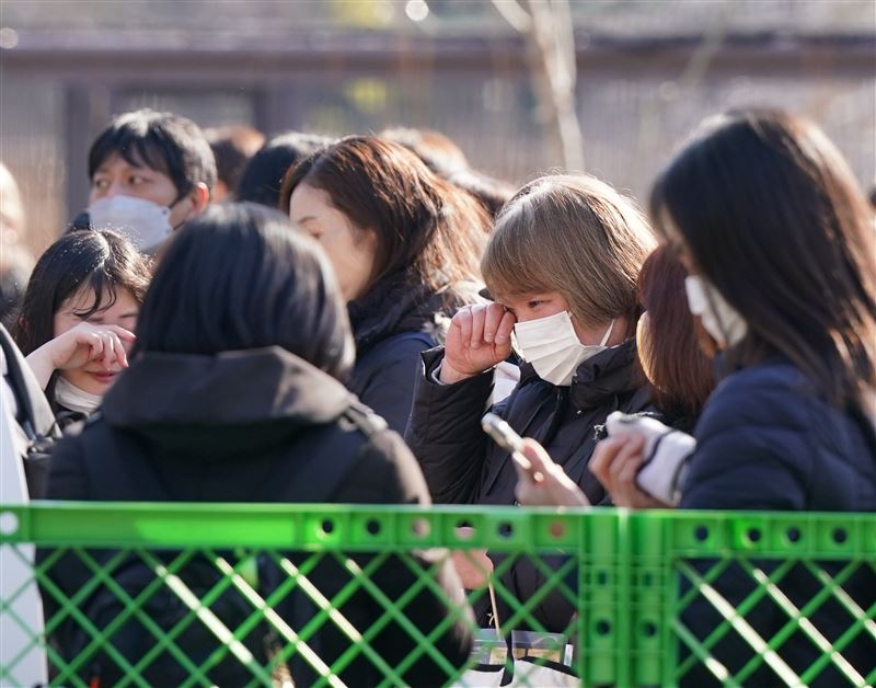載著曉曉與蕾蕾的卡車離開動物園後，不少民眾難過落淚。（圖／美聯社／達志影像）