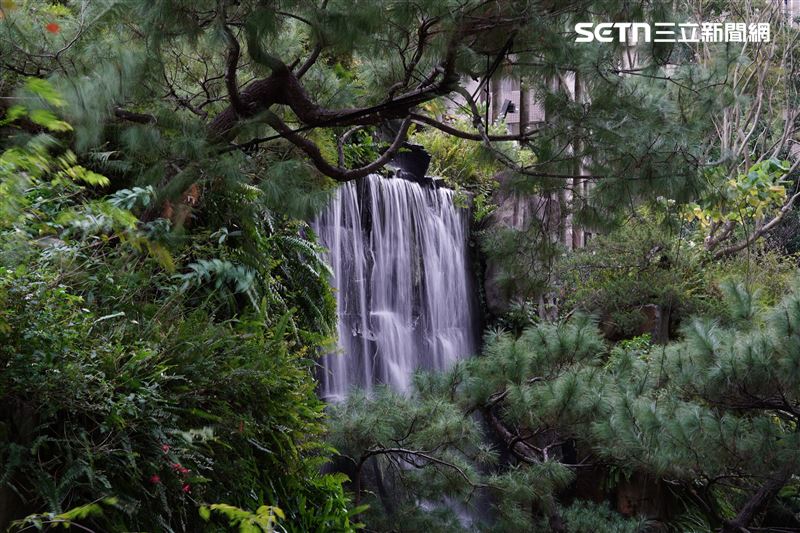 陶朱隱園將10米瀑布搬進信義區，彷彿走進世外桃源。（圖／記者趙于瑩攝影）