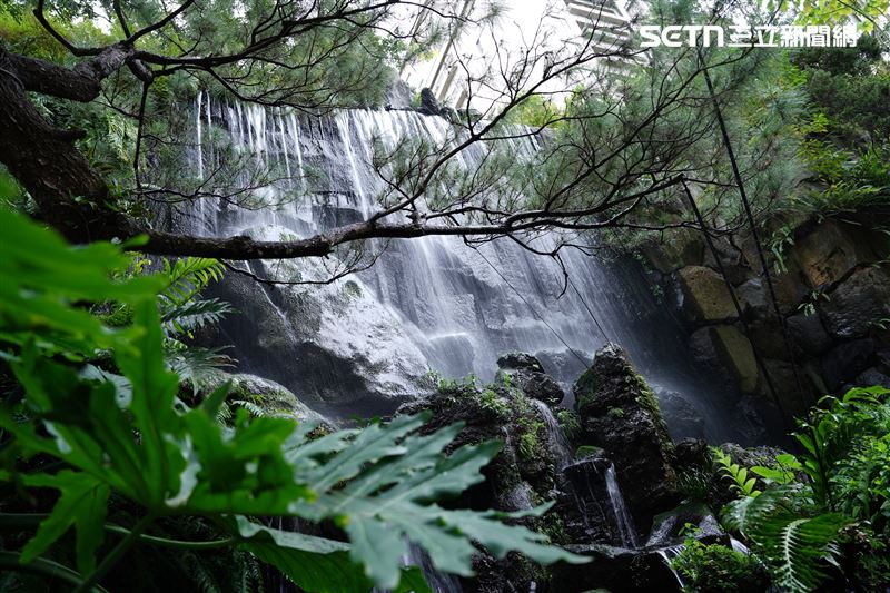 陶朱隱園生態庭園打造10米瀑布景觀，漫步園區時，耳邊傳來潺潺水聲，營造出放鬆舒適的氛圍。（圖／記者趙于瑩攝影）