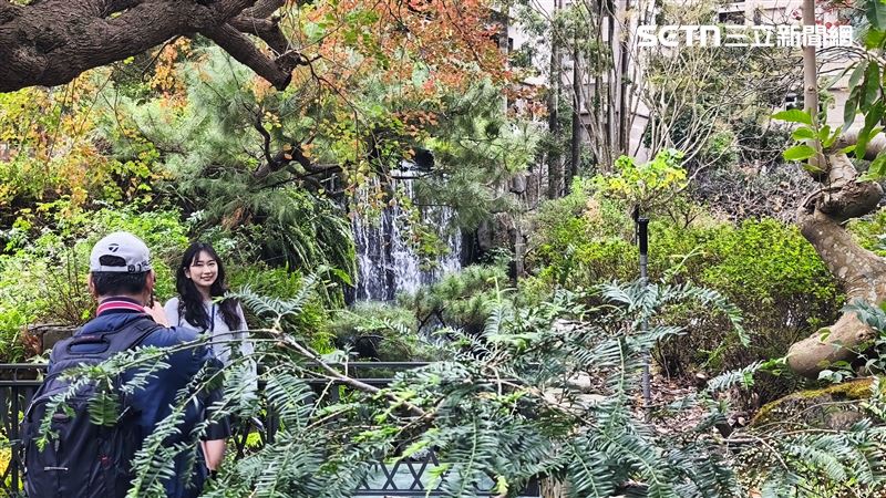 知名旋轉豪宅陶朱隱園今(27)日正式開放媒體參觀，內部擁有小橋、流水、瀑布，流水內還養著大錦鯉，如同森林搭建的半戶外空間等。（圖／記者陳韋帆攝影）