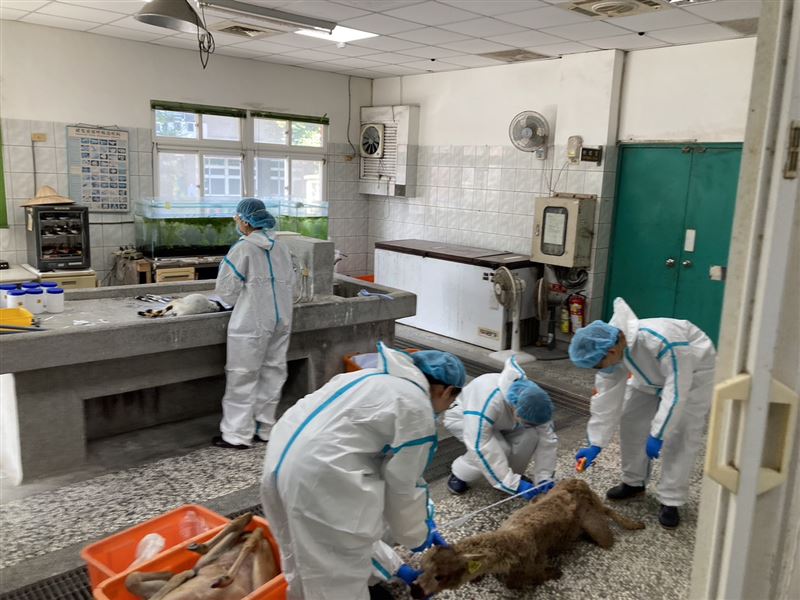 由於王男行為乖張且犯後態度惡劣，因此除依動保法、刑法毀損罪起訴外，檢方還請求從重量刑。（圖／翻攝畫面）