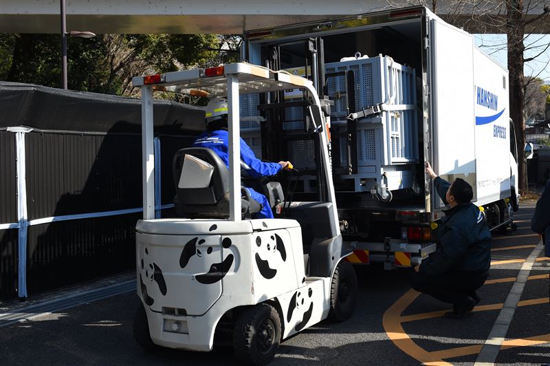 曉曉、蕾蕾被搬進大貨車，準備前往機場搭機返回中國。（圖／翻攝自X平台 @UenoZooGardens）