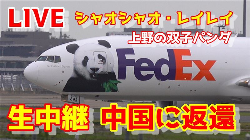 日本媒體直播曉曉、蕾蕾搭機離日的過程，曉曉、蕾蕾專機上還有牠們的照片。（圖／翻攝自X平台＠loveflightjack）