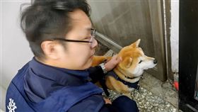 台北,內湖,大賣場,柴犬,走失,寵物,項圈。（圖／翻攝畫面）