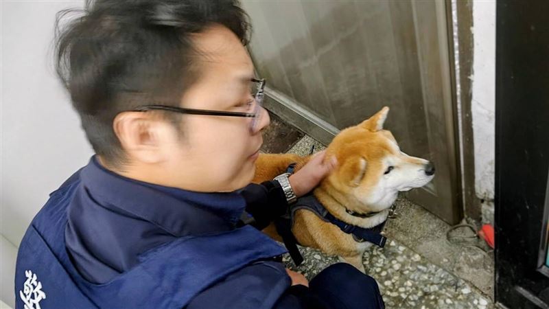 民眾在大賣場內發現迷路的柴犬，隨即報警處理。（圖／翻攝畫面）
