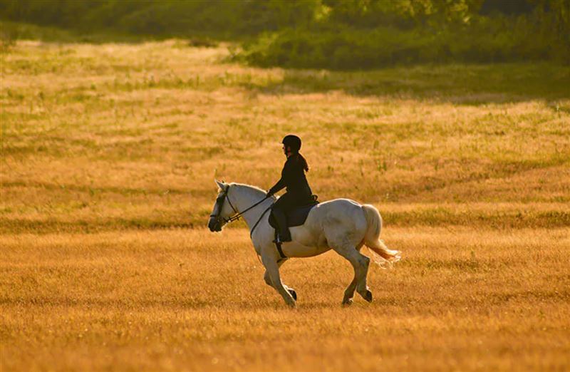 2026丙午年與2027丁未年都是火元素旺盛的年份,因此俗稱「赤馬紅羊劫」,容易出現各種挑戰與變化。(圖/翻攝自網路)
