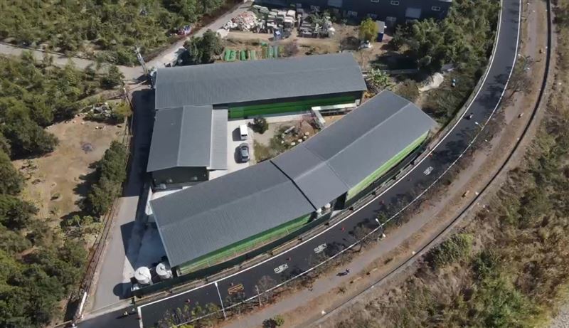 台中豐原蛋雞場發生1700隻雞大量死亡，市府已啟動移動管制，勒令即刻封鎖蛋場，禁止場內任何動物及物品移出。(圖／翻攝畫面)