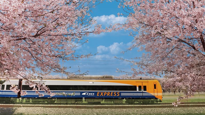 LINE Pay結盟韓國機場鐵路AREX，旅客透過LINE Pay平台即可預訂購買AREX車票，享有優惠價格也大幅提升旅遊便利性。（圖／品牌業者提供）