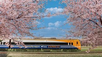 跨境新版圖！LINE Pay結盟韓機場鐵路AREX