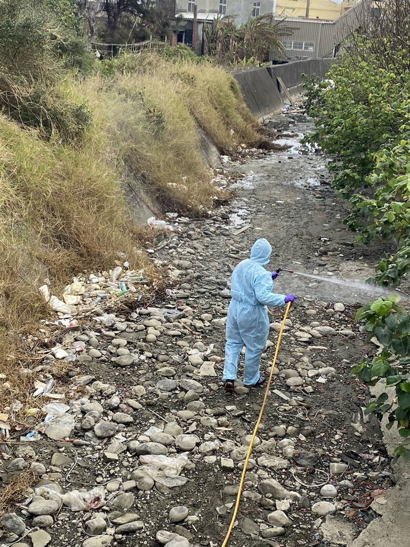 苗栗縣府在排水溝周圍全面清消，並訪查周圍3公里的10多家養禽場，確認雞隻健康狀況。(圖／翻攝畫面)