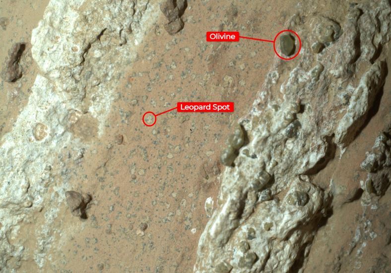 代號為「切亞瓦瀑布」（Cheyava Falls）的岩石樣本引起轟動。（圖／翻攝自維基百科）